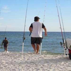 Meet your Posher, Nate